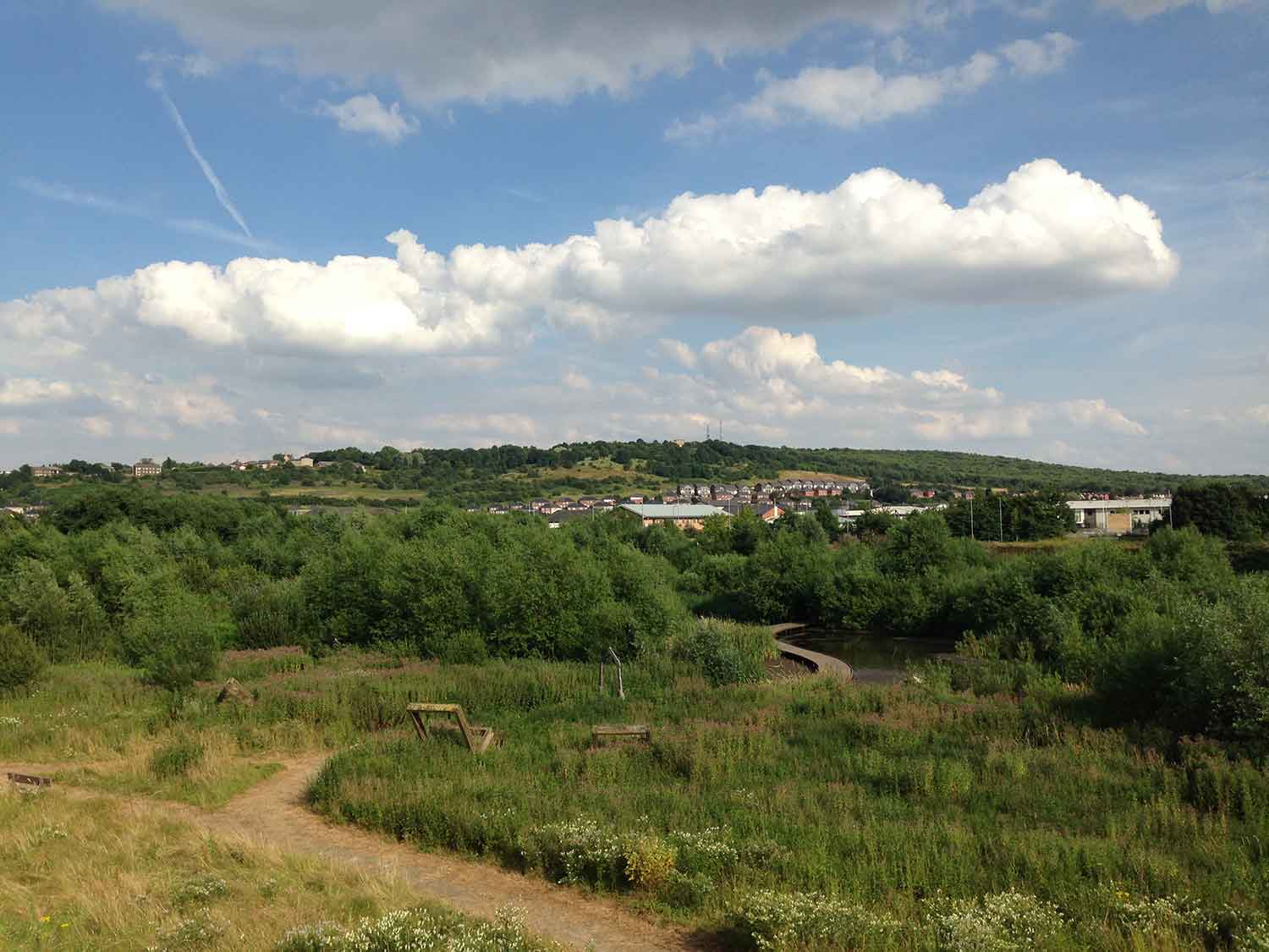 Centenary Riverside Landscape by Rob Miller