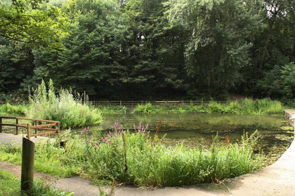 Crabtree Ponds © Sarah Sidgwick