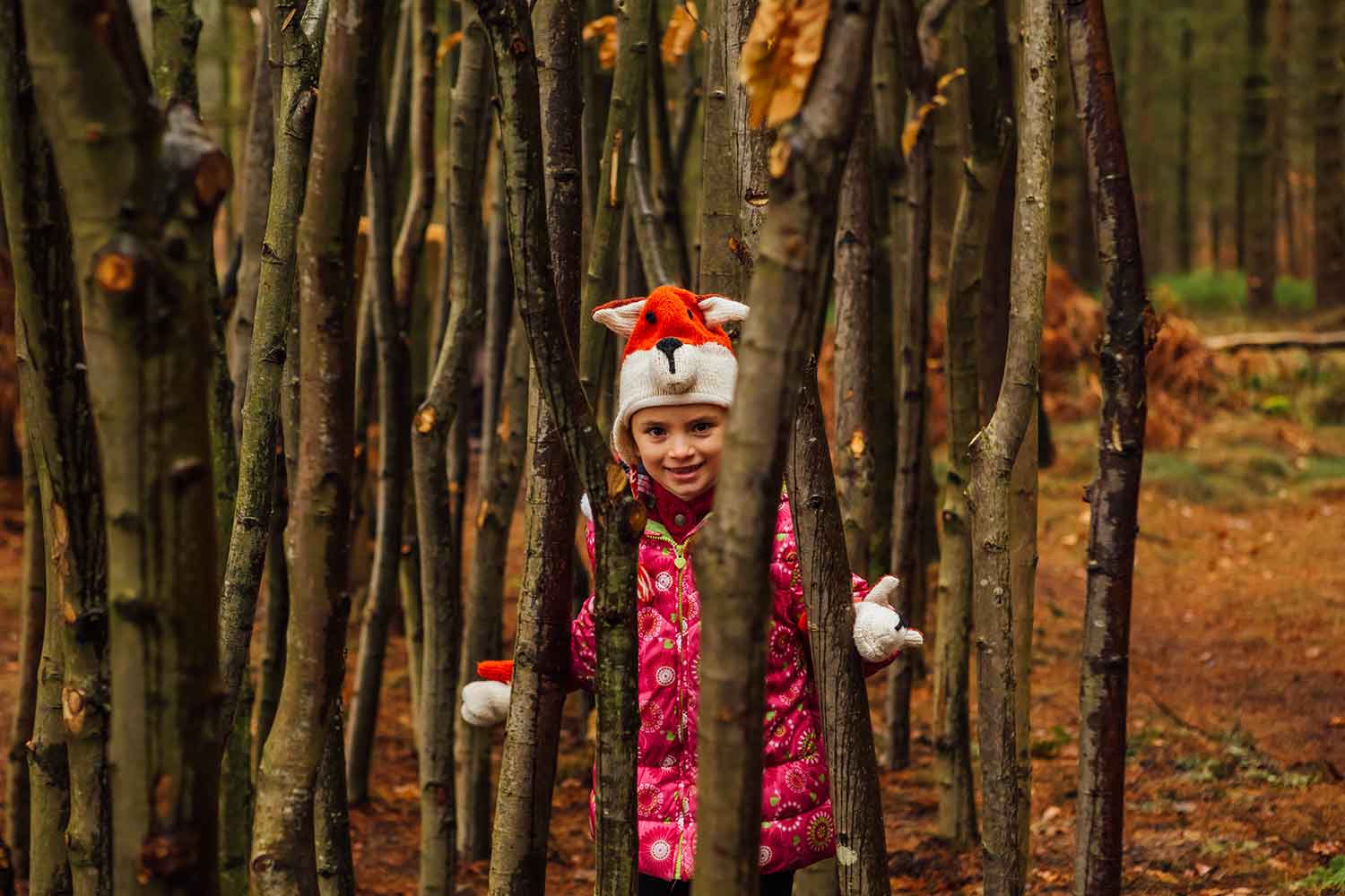 Greno Woods Toddler Trail by Helena Dolby