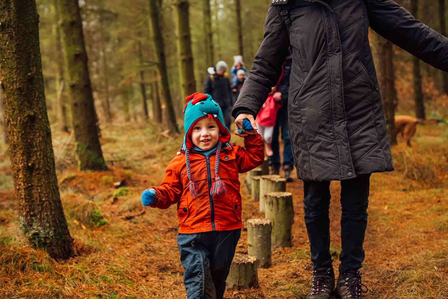 Greno Woods Toddler Trail by Helena Dolby