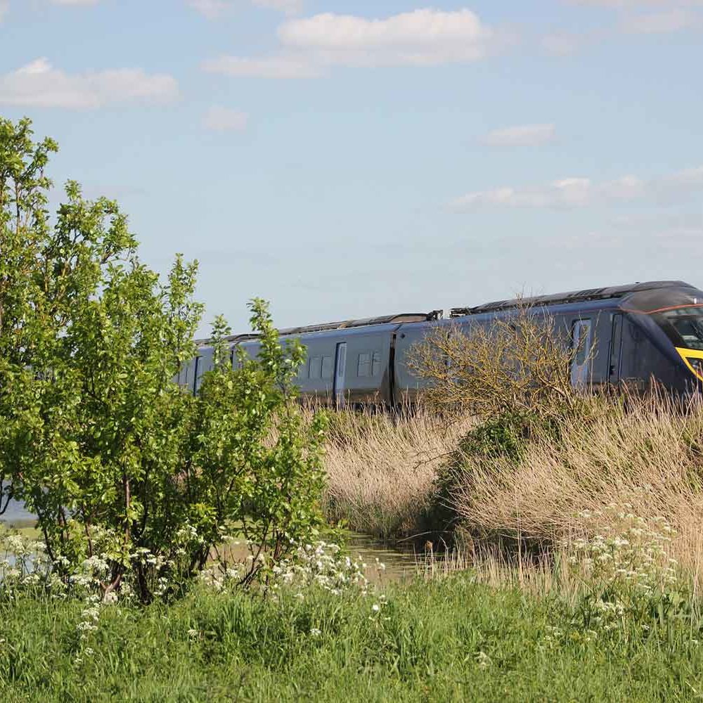 High Speed Train by Matthew Black, Creative Commons