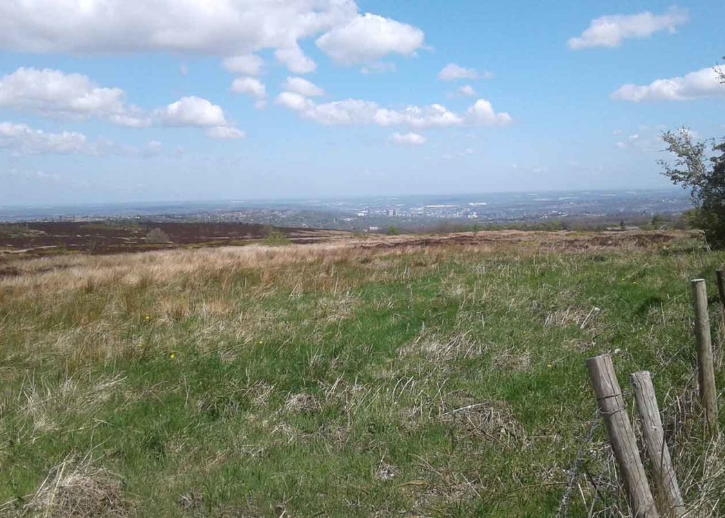 Sheffield from Ringinglow