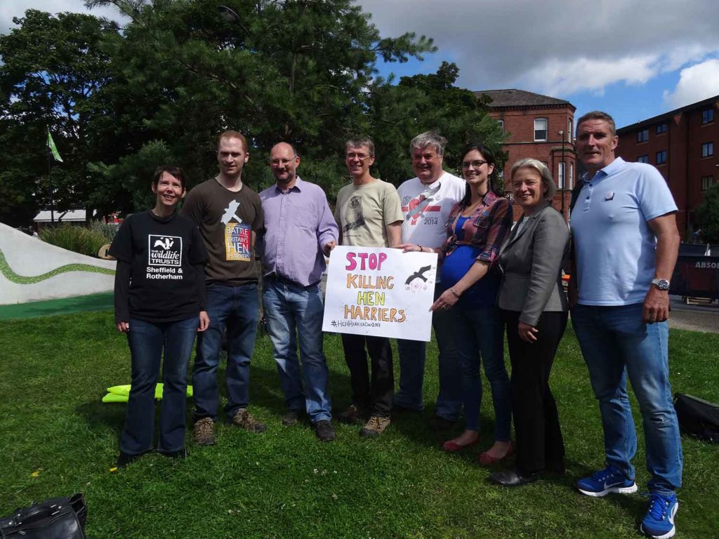 Stop Killing Hen Harriers by Nicky Rivers