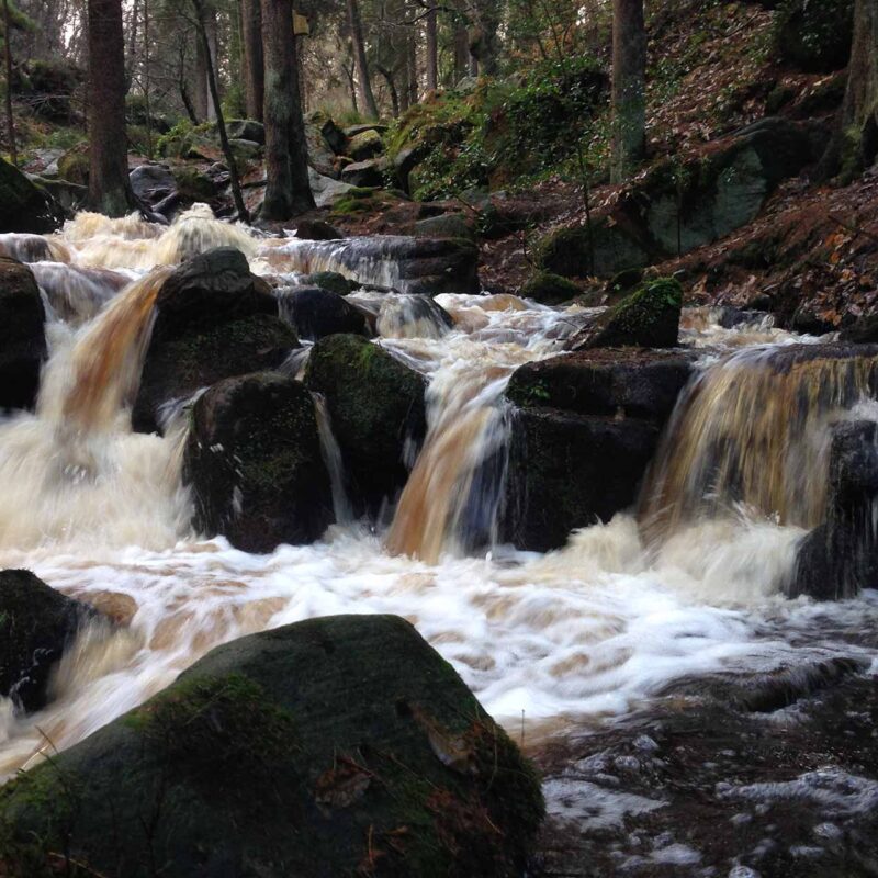 Wyming Brook in full flow