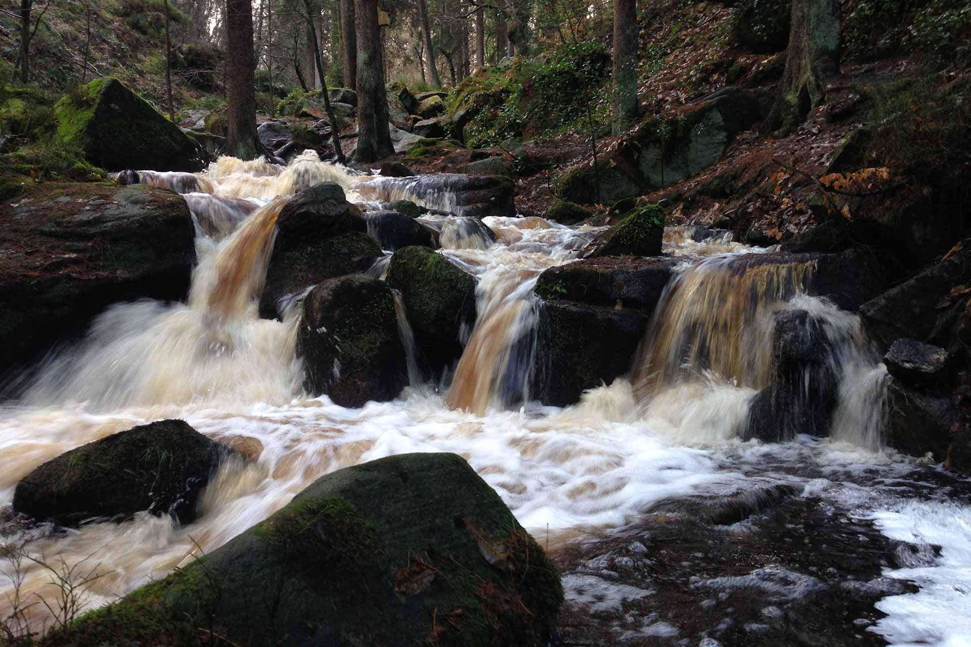 Wyming Brook in full flow