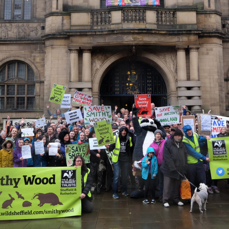 Smithy Wood Sheffield Town Hall protest 2017