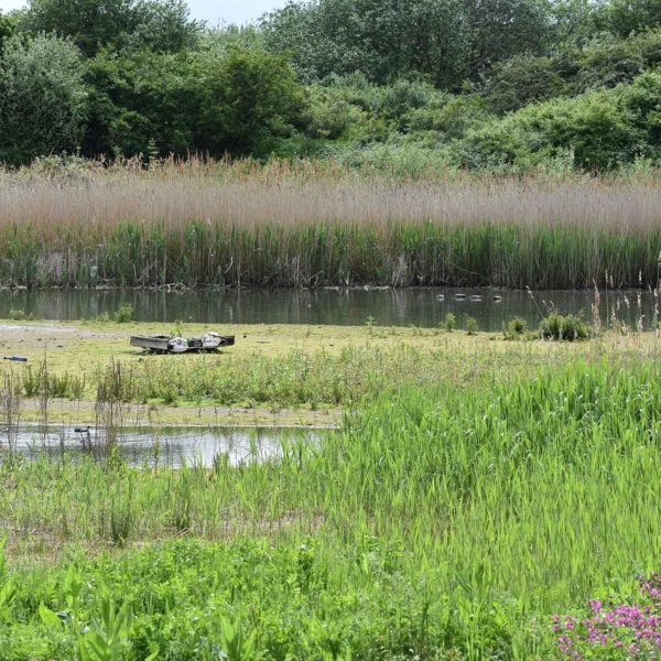 Blackburn Meadows