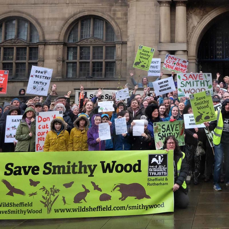 Smithy Wood Campaign outside Sheffield Town hall