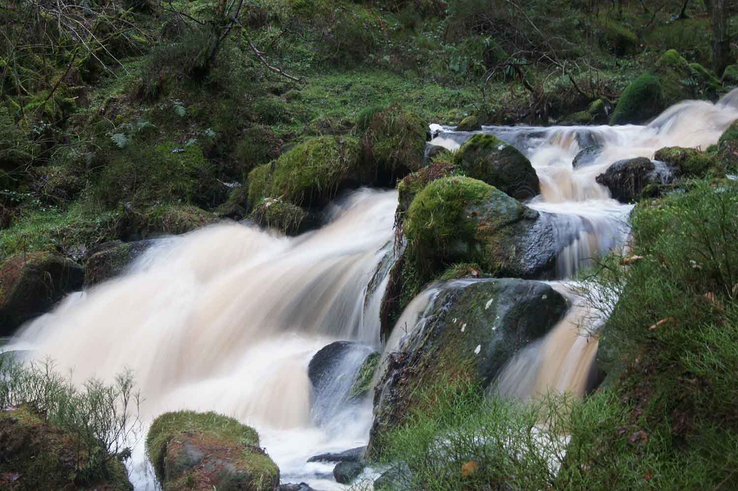 Wyming Brook by Gary Smith