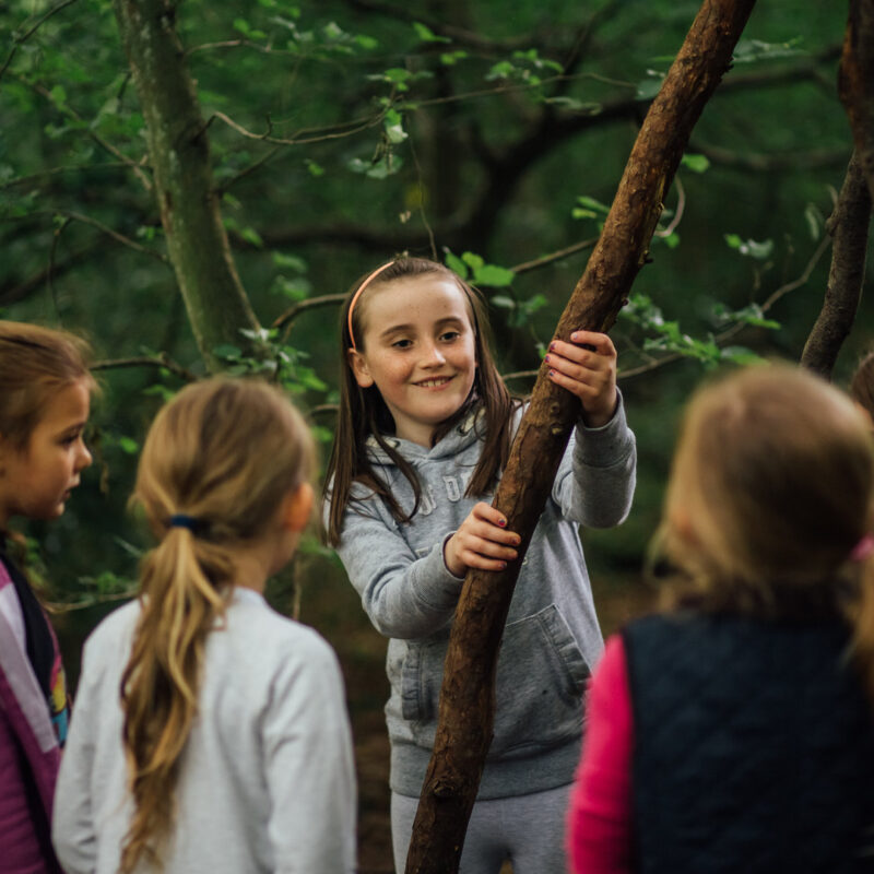 Transition Forest School