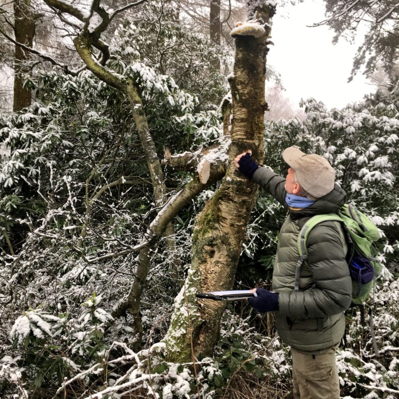 Surveying in the snow