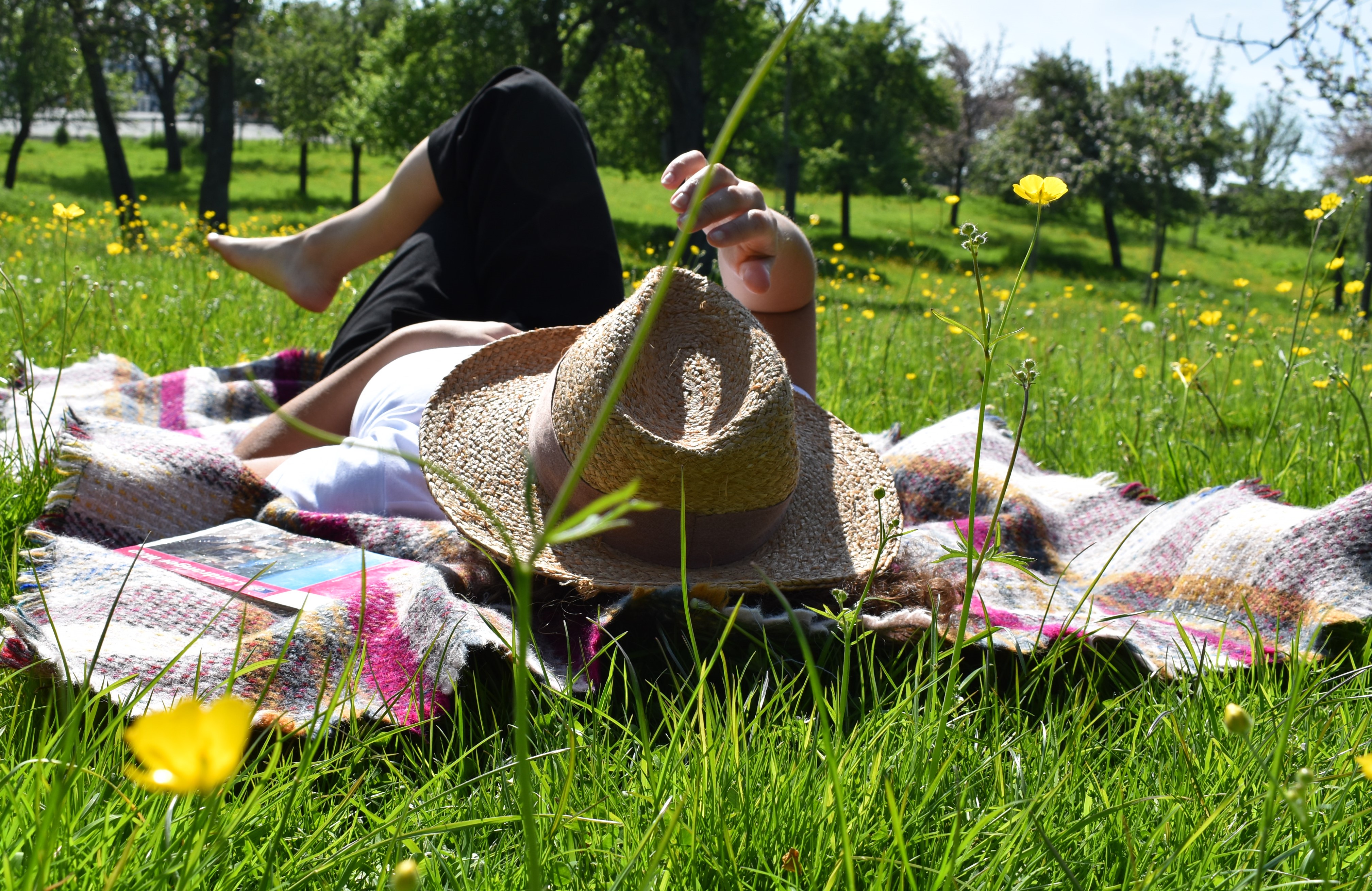 30 Days Wild Challenge Reaches New Record Sheffield Rotherham