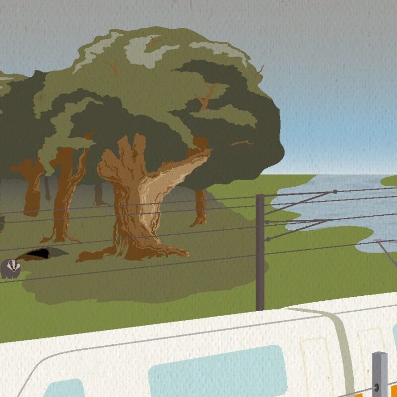 HS2 high speed train
