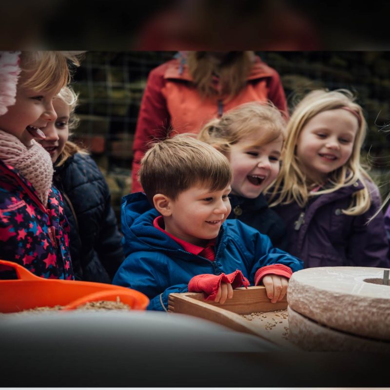 A group of excited children explore life on the farm