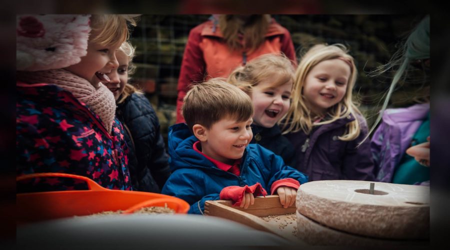 A group of excited children explore life on the farm