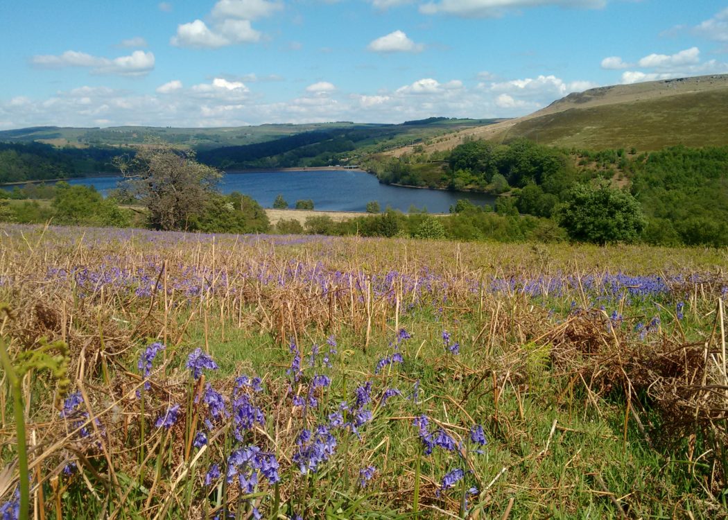 View from Pears House, where the Sheffield Lakeland Landscape partnership have been working with local farmers to slow the flow