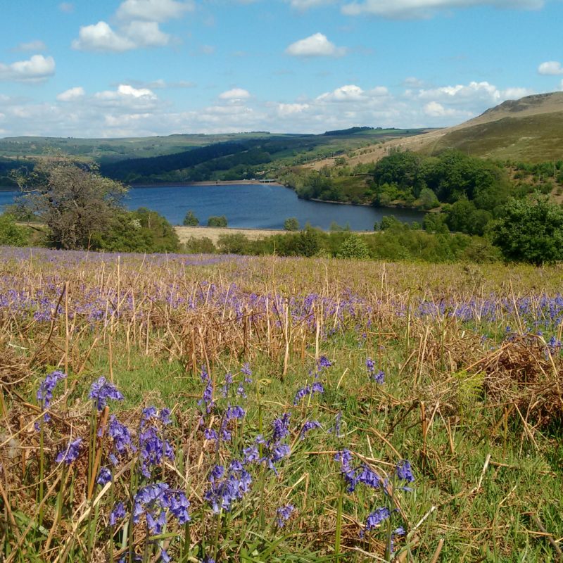 View from Pears House, where the Sheffield Lakeland Landscape partnership have been working with local farmers to slow the flow