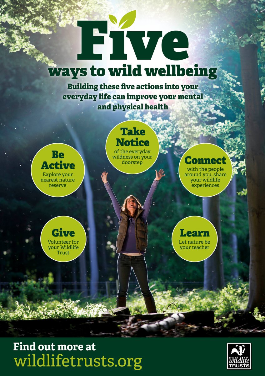 A poster showing the 5 ways to wellbeing