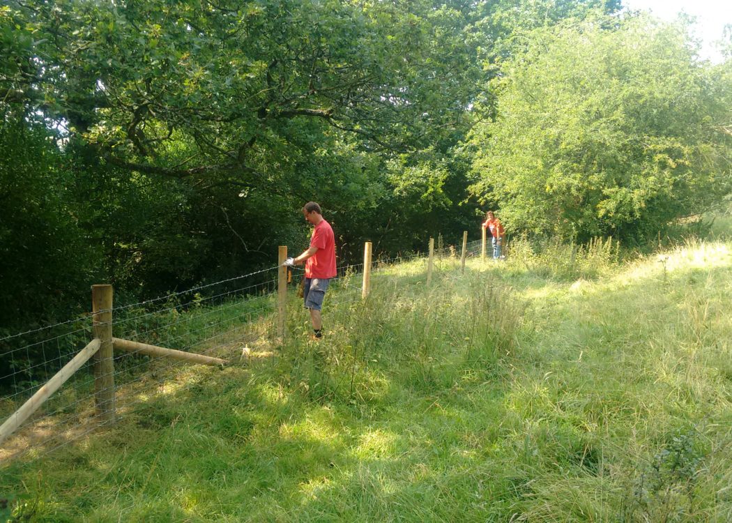 Volunteers repairing a fence