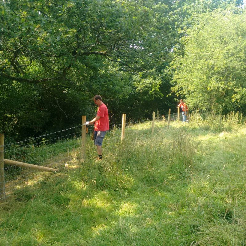 Volunteers repairing a fence