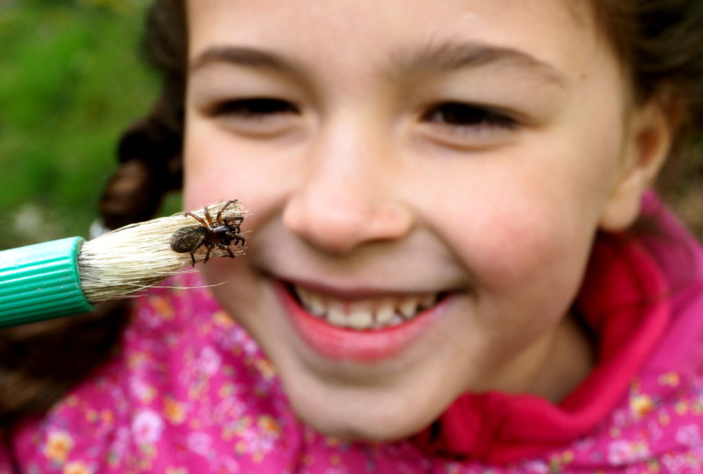 Sheffield and Rotherham Wildlife Trust BioBlitz on Wadsley Common: Lilah Moore (6) finds a spider