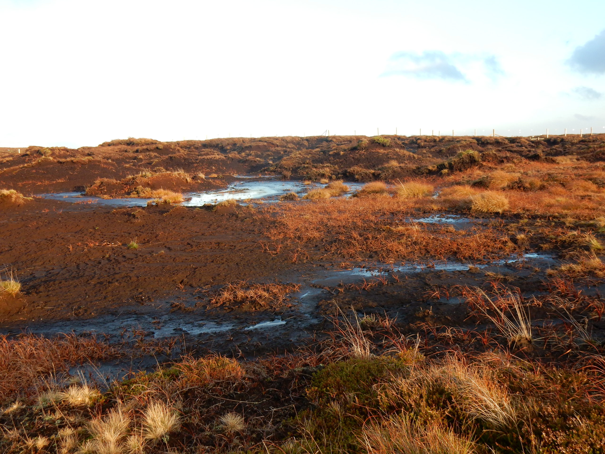 Degraded peatland in Yorkshire