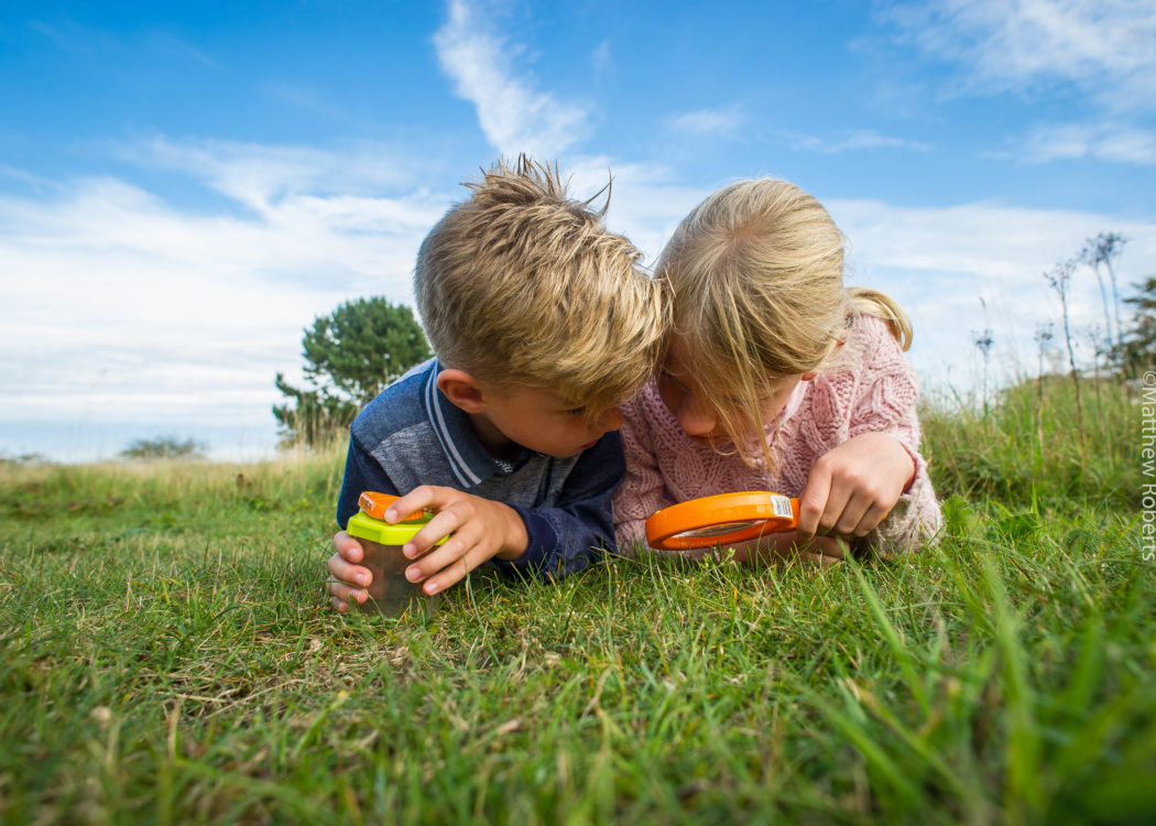 Nature Detectives - Two children with a magnifying glass looking at grass on a sunny day