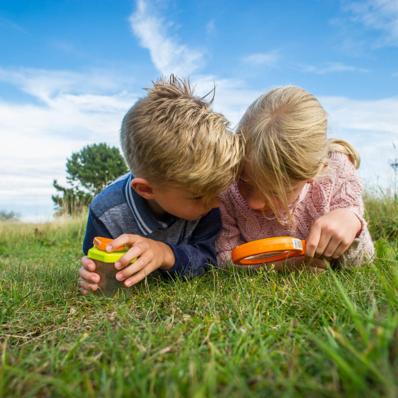 Nature Detectives - Two children with a magnifying glass looking at grass on a sunny day