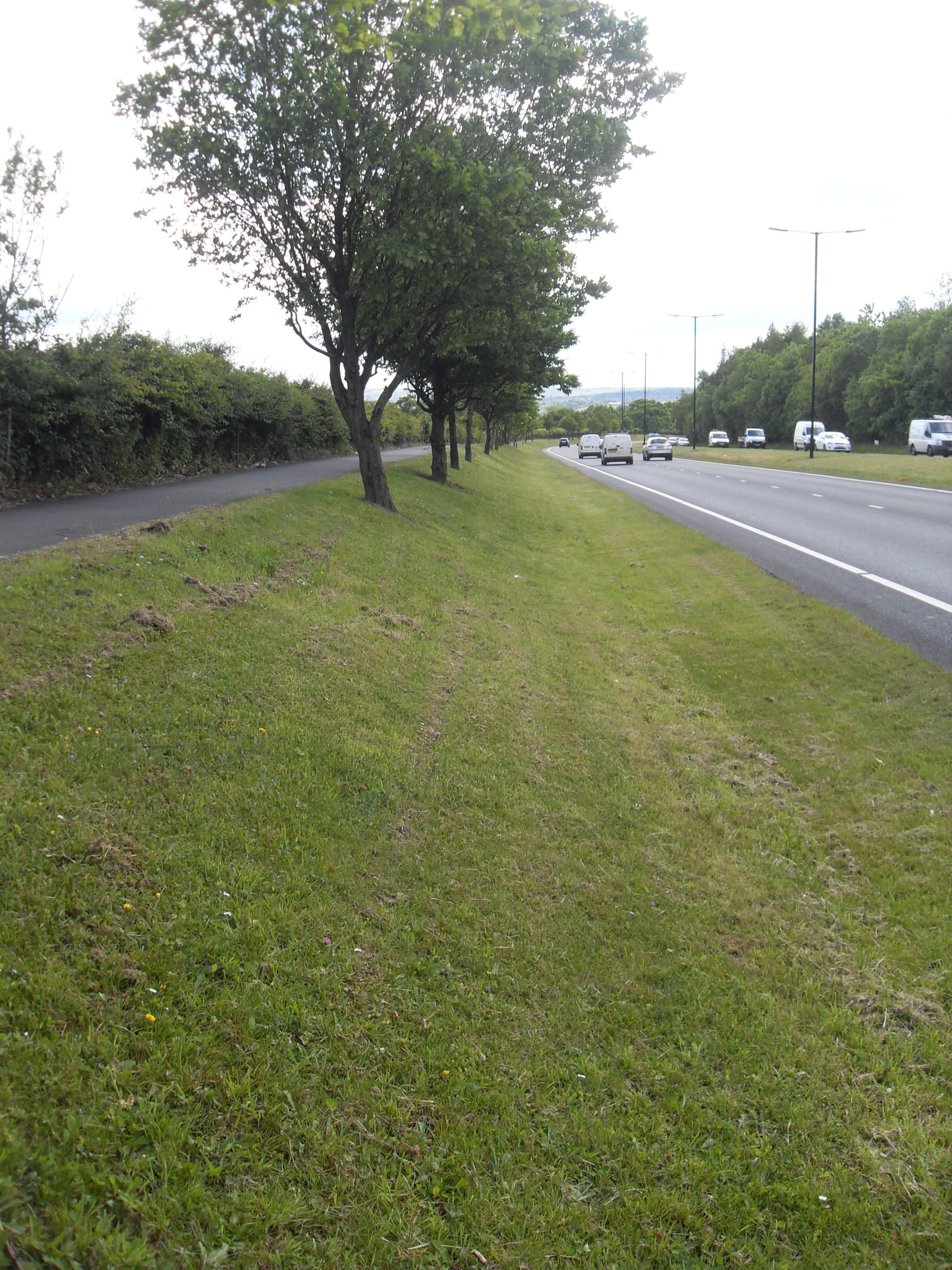 Bochum parkway prior to mowing change ©L McBride 2015