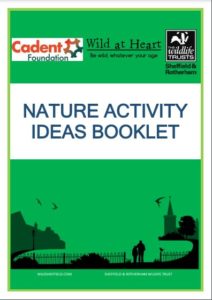 Nature activity ideas booklet