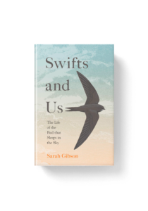 Swifts and Us