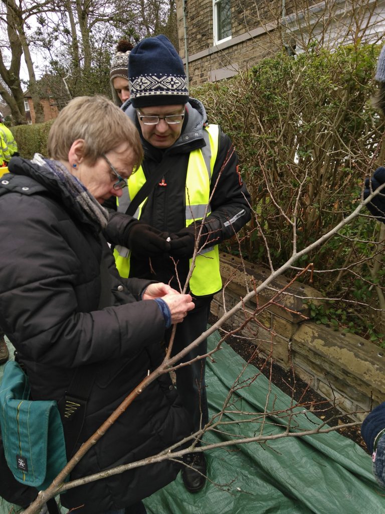 Checking the prunings for eggs