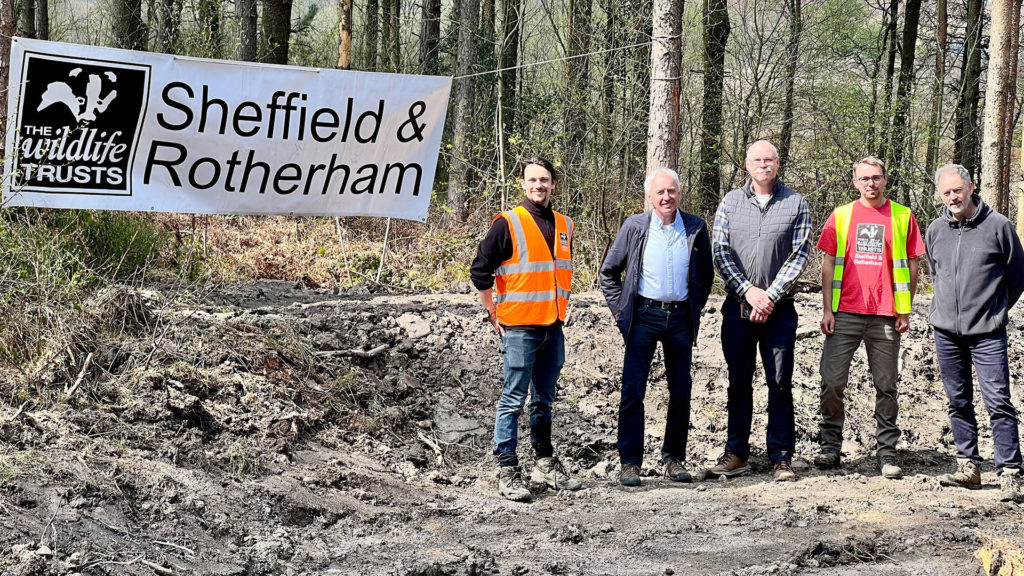 Partners from the Environment Agency, Sheffield City Council and Sheffield & Rotherham Wildlife Trust at lady Cannings plantation, part of the Limb Brook MbD demonstrator project