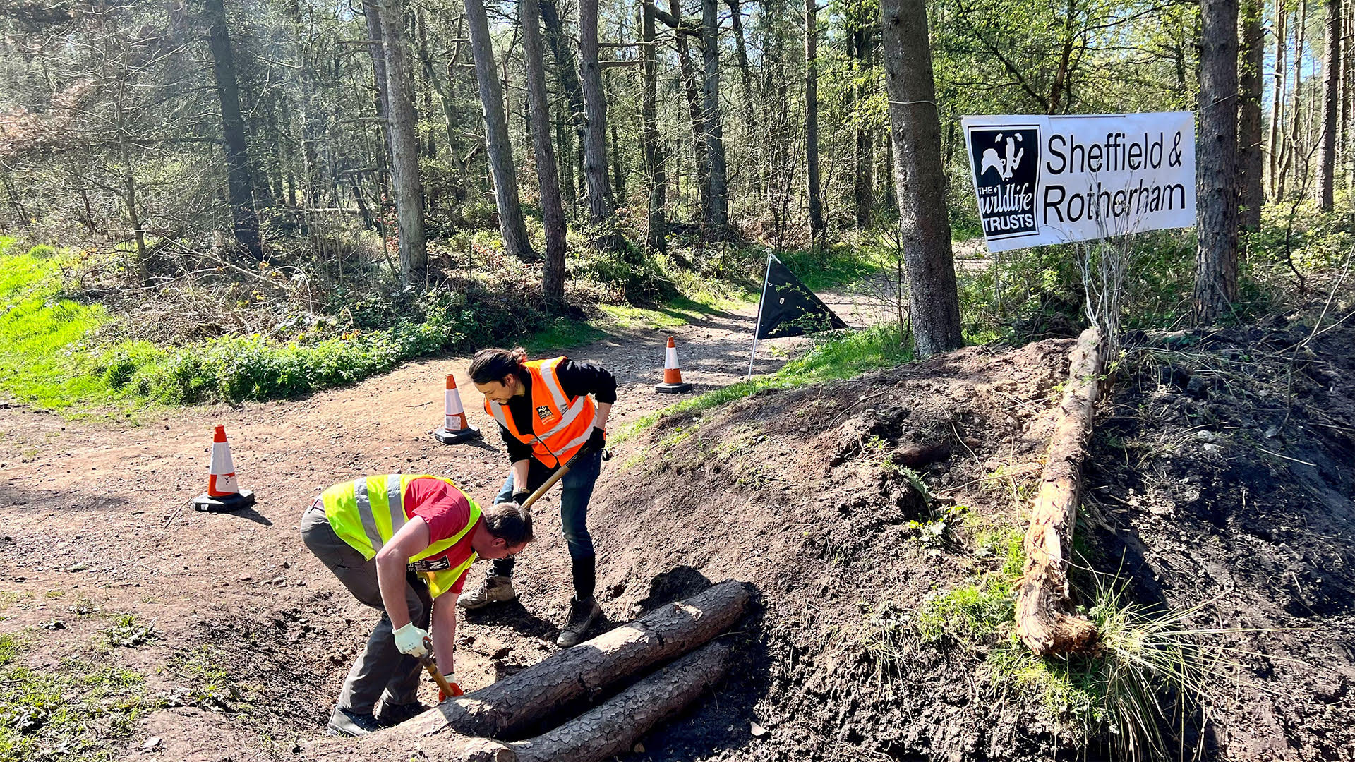 Natural Flood Management Works Begins in Limb Brook