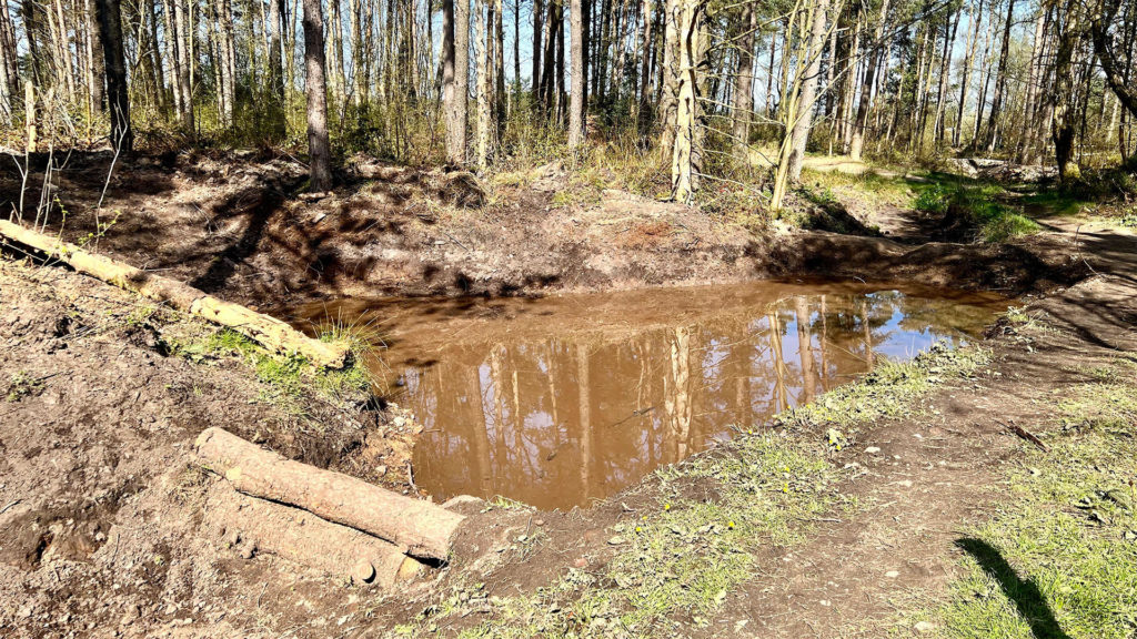 Natural Flood Management Works Begins in Limb Brook