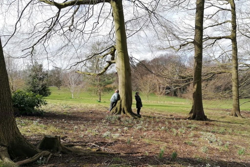 Wild at Heart Wellbeing Day Service Users close to trees in nature