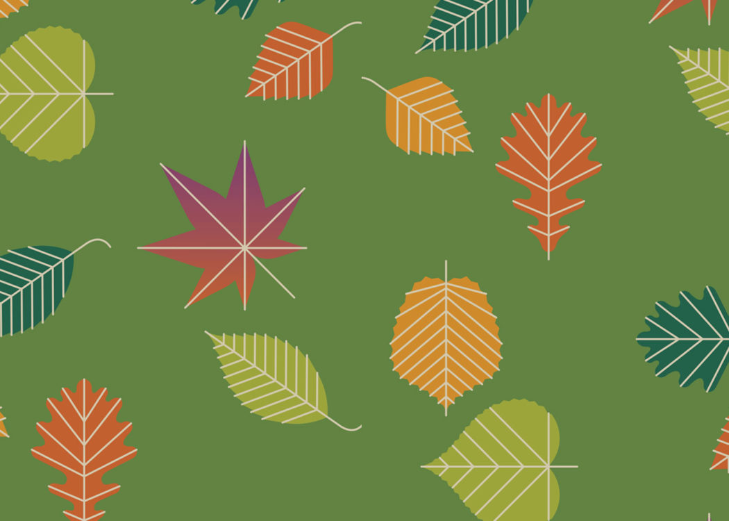 Illustrations of leaves