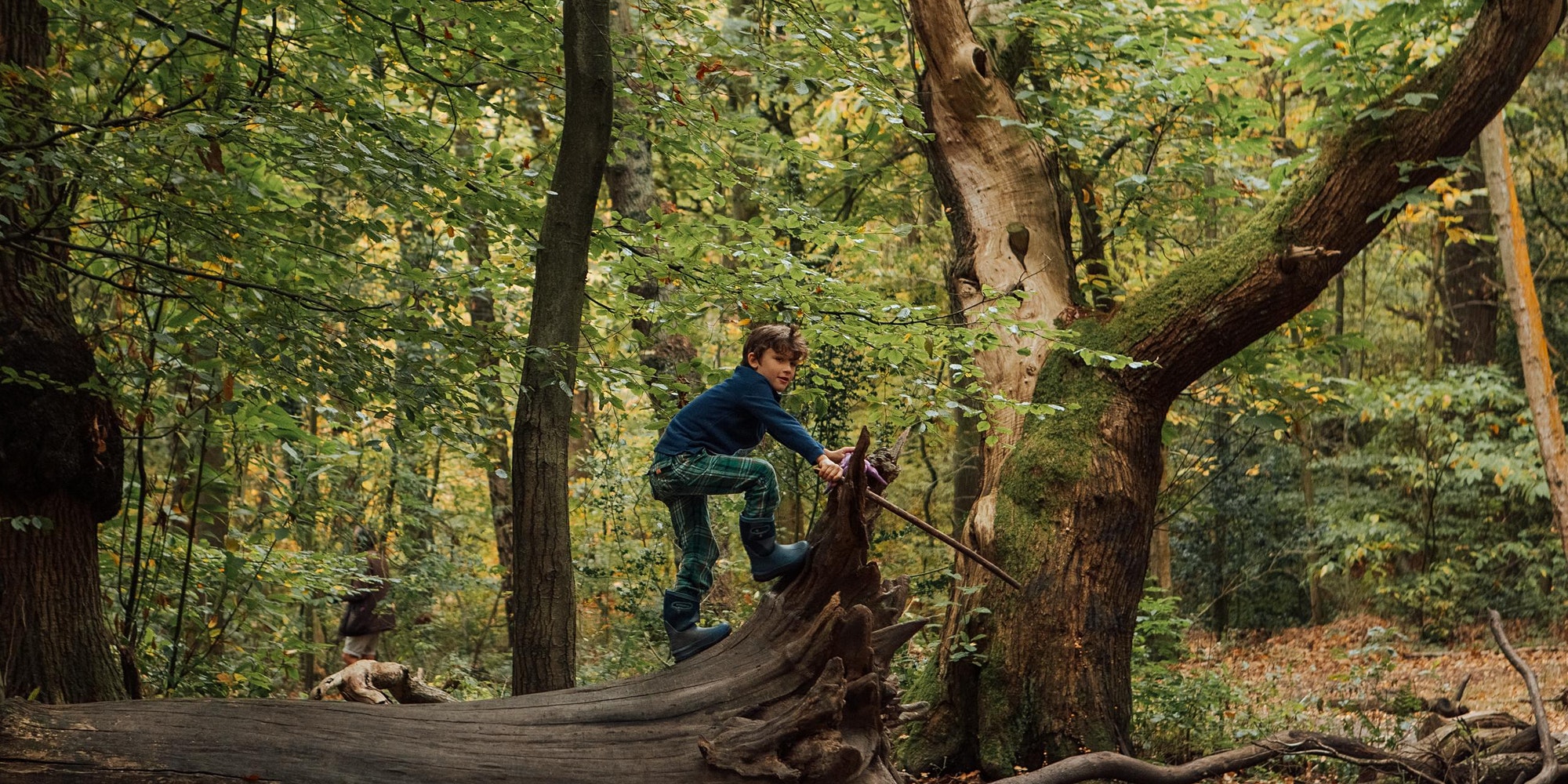 Young boy climbs a fallen tree stump