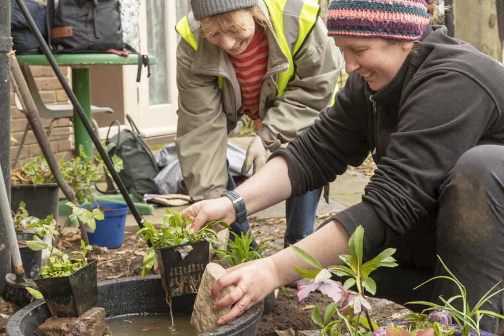 Two people gardening