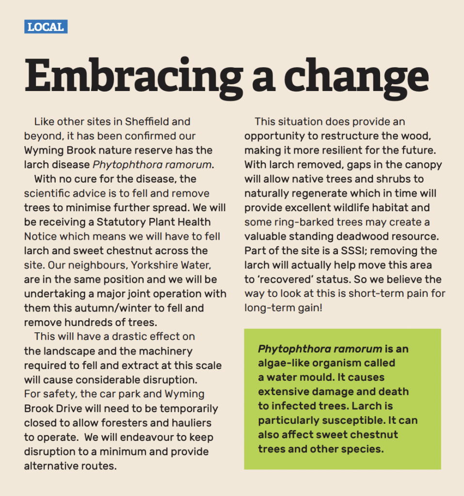 Embracing a change article from Kingfisher Summer 22 Magazine