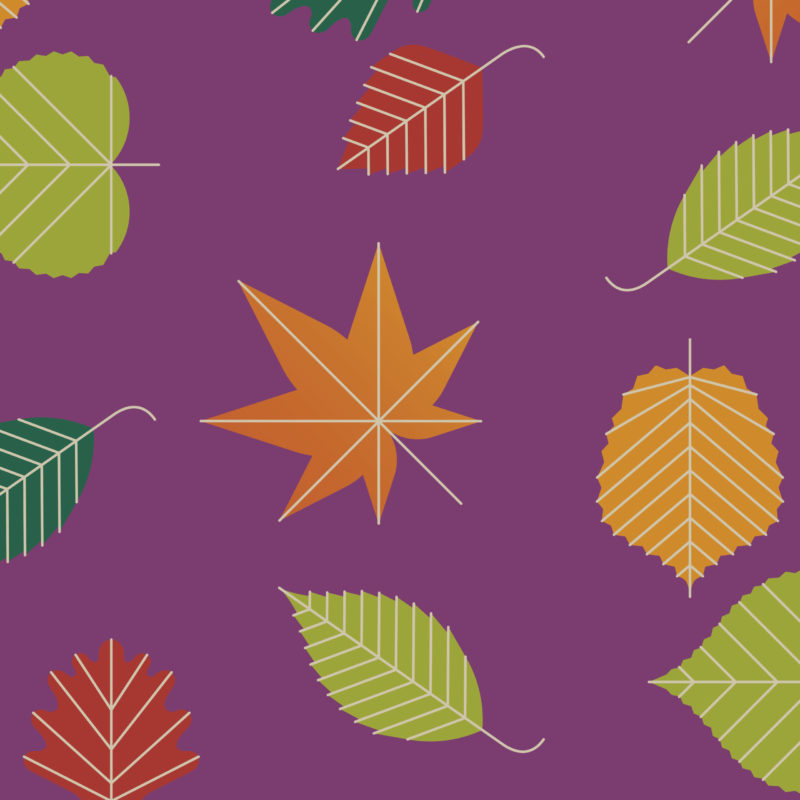 Illustrations of leaves