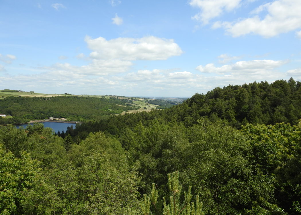 View over Wyming Brook and the Rivelin Valley landscape featuring trees and reservoir in the background