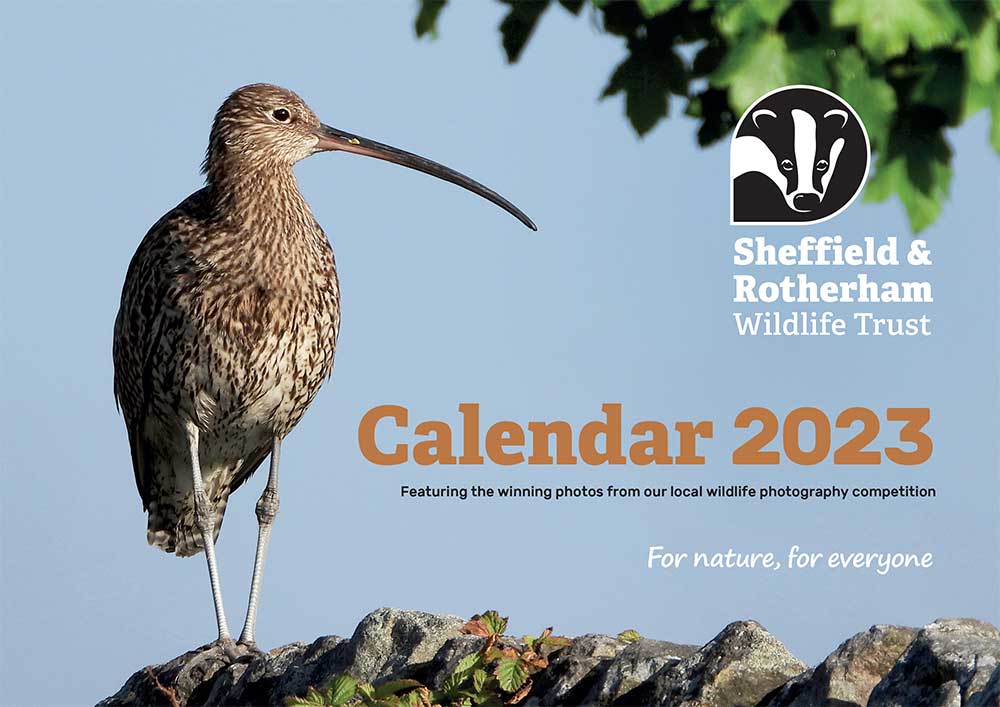 Sheffield & Rotherham Wildlife Trust Calendar 2023: Cover