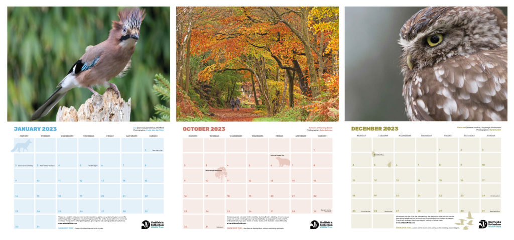 Sample pages from the Sheffield & Rotherham Wildlife Trust Calendar 2023