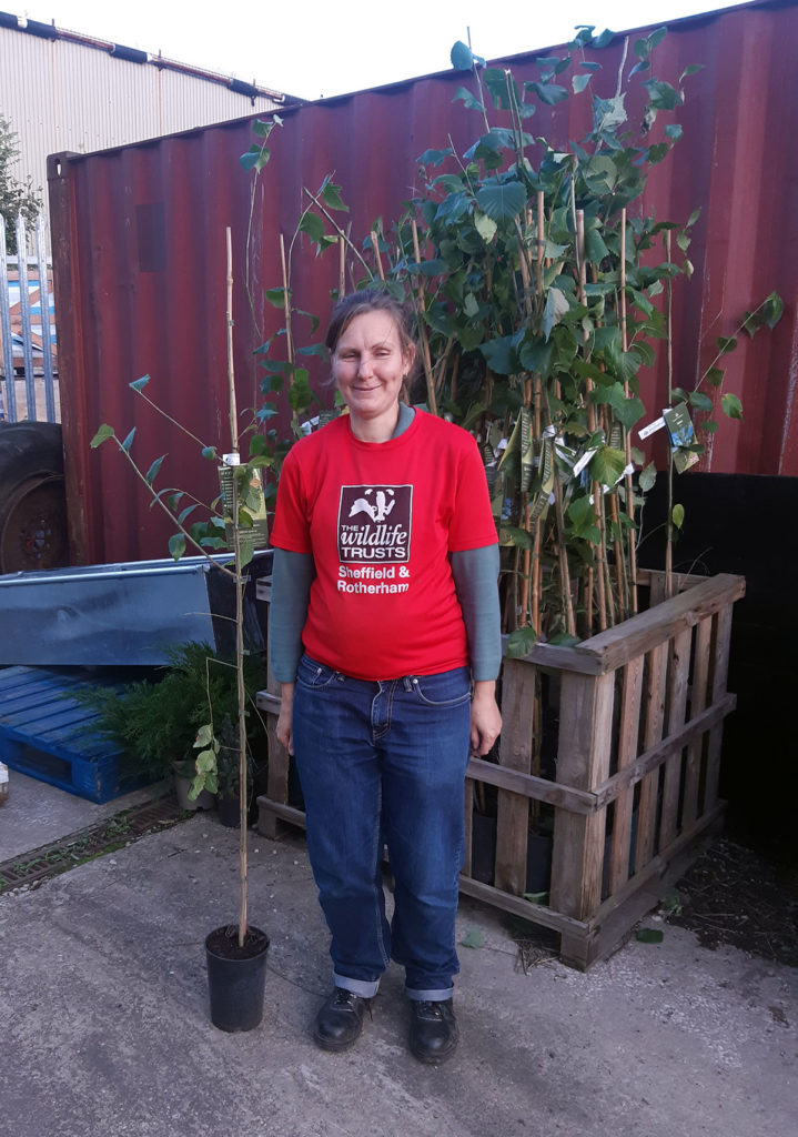 Lady stood next to an elm tree sapling for size reference for the Elms and Hairstreaks Initiative