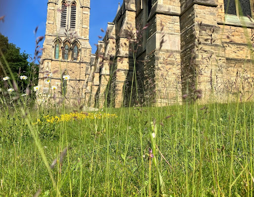 A wildflower meadow grows in front of a Victorian church