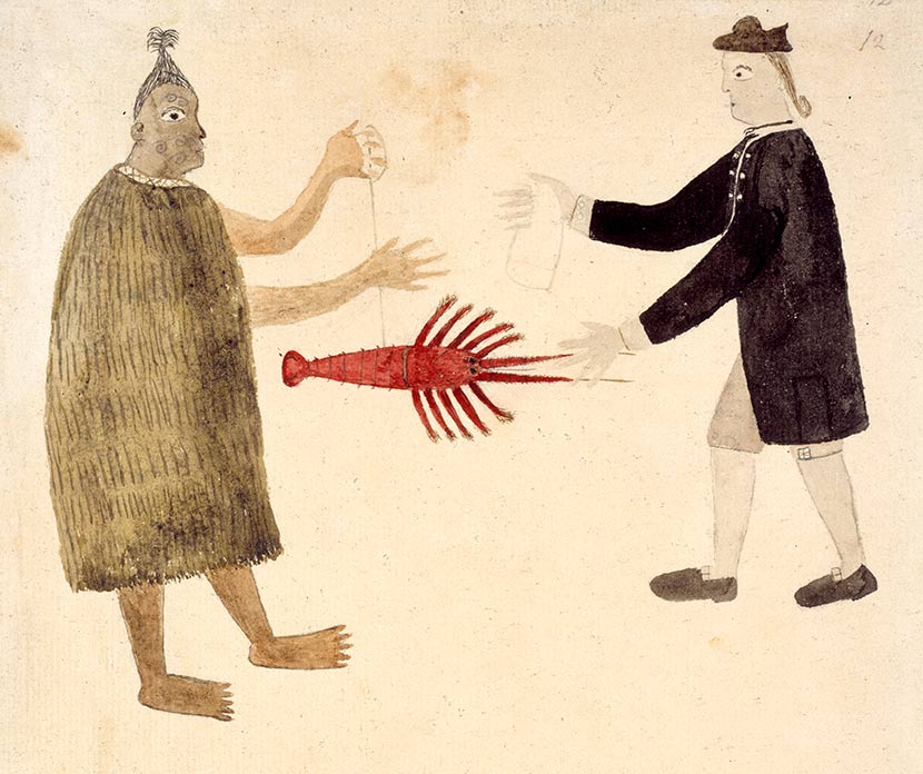 Tupia Lobster ©The British Library Board