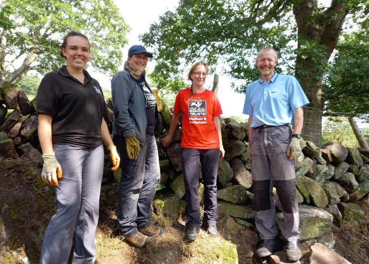 Drystone Walling Volunteers