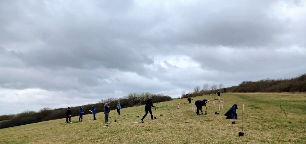 community tree planting