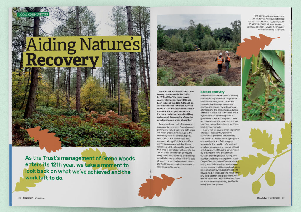 'Aiding nature's recovery' article from Kingfisher magazine, Winter 2021